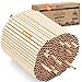 Nisthülsen für Insektenhotel 15 cm lang Durchmesser 6 UND 8 mm gemischt inkl. E-Book Niströhren u. Pappröhrchen für Wildbienen (Pappröhrchen, 300)