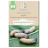 Futeco® – HB-Nematoden gegen Dickmaulrüssler & Engerlinge – für 10m² Fläche – zum einfachen gießen – 100% Biologisch, Chemiefrei & Natürlich – Made in Germany