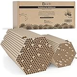 BEESI 600x Nisthülsen für Wildbienen 6 und 8 mm Ø I Wasserabweisend hohe Lebensdauer I Nisthilfe, Zubehör, Füllmaterial für Insektenhotel