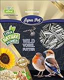 Lyra Pet® 25 kg Sonnenblumenkerne 25000 g gestreift Vogelfutter Winterfutter Streufutter HK Deutschland Ernte 2020